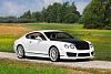     
: MANSORY_GT_SPEED_1.jpg
: 1951
:	195.5 
ID:	82